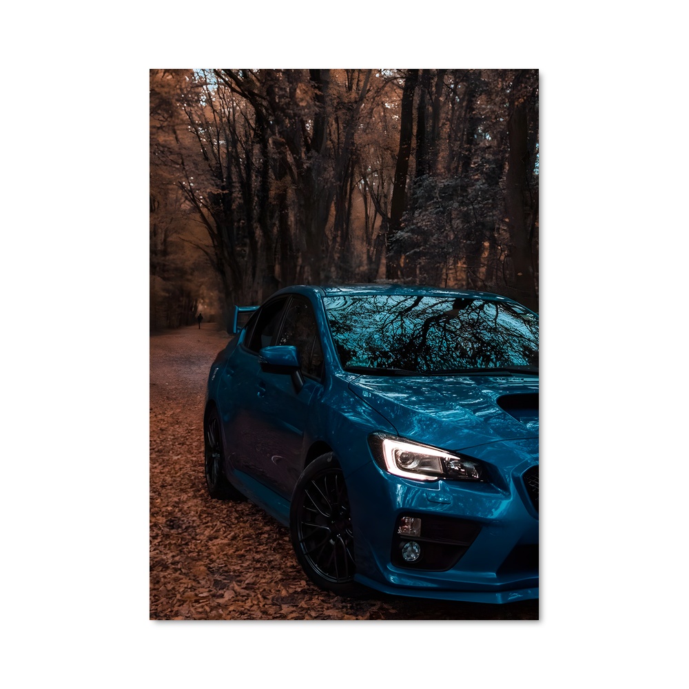 Poster superbe Brz sti